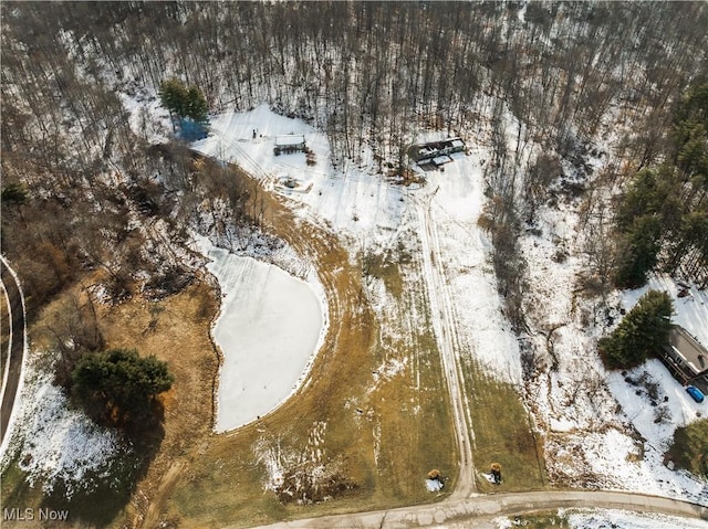 view of snowy aerial view