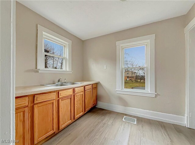 bathroom featuring hardwood / wood-style flooring and vanity