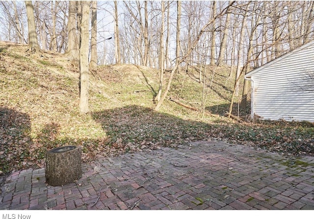 view of yard featuring a patio area