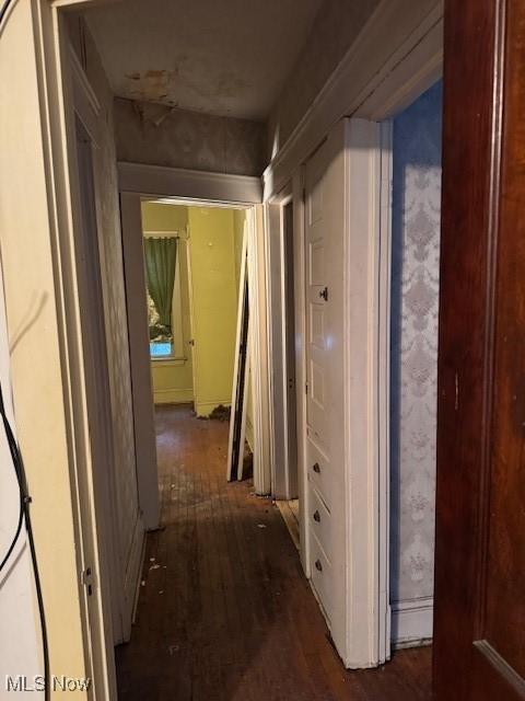 hallway with dark hardwood / wood-style floors