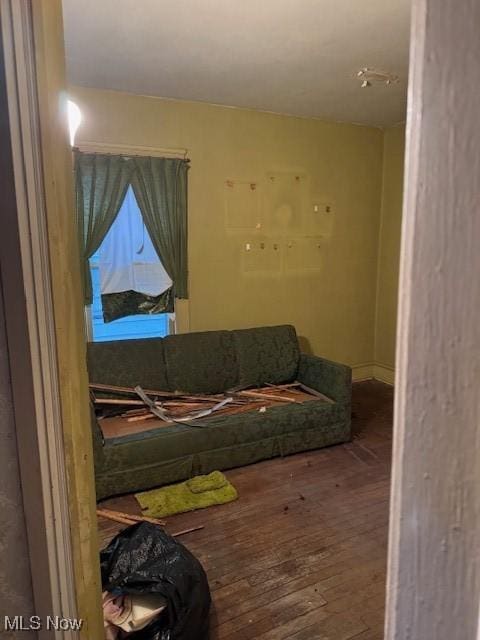 living room featuring hardwood / wood-style floors