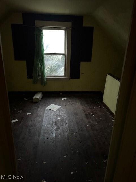 additional living space featuring lofted ceiling and wood-type flooring