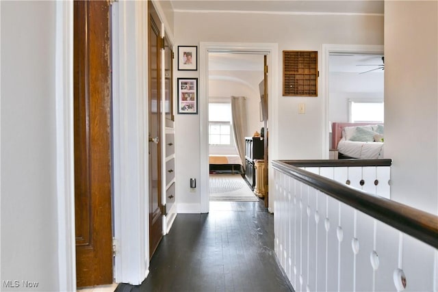 hall with dark hardwood / wood-style flooring