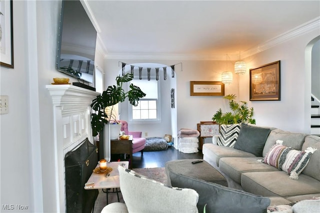 living room with crown molding and hardwood / wood-style floors