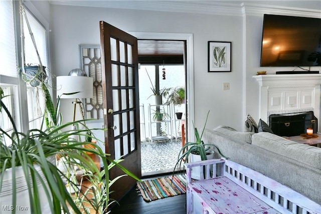 interior space featuring crown molding and dark hardwood / wood-style floors