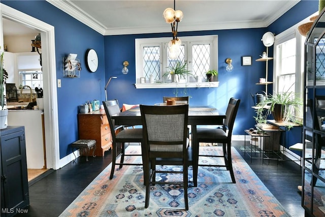 dining space featuring crown molding and dark hardwood / wood-style floors