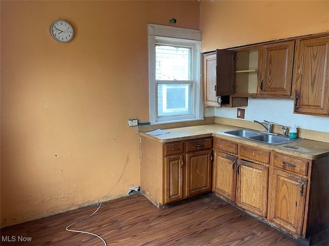 kitchen featuring sink and dark wood-type flooring