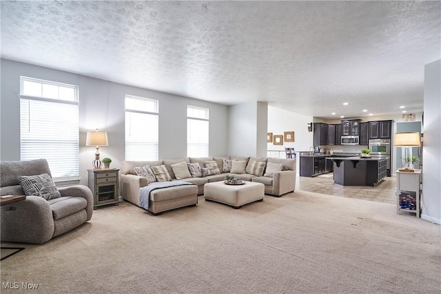 carpeted living room with a textured ceiling