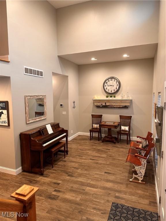 interior space featuring a high ceiling and wood-type flooring