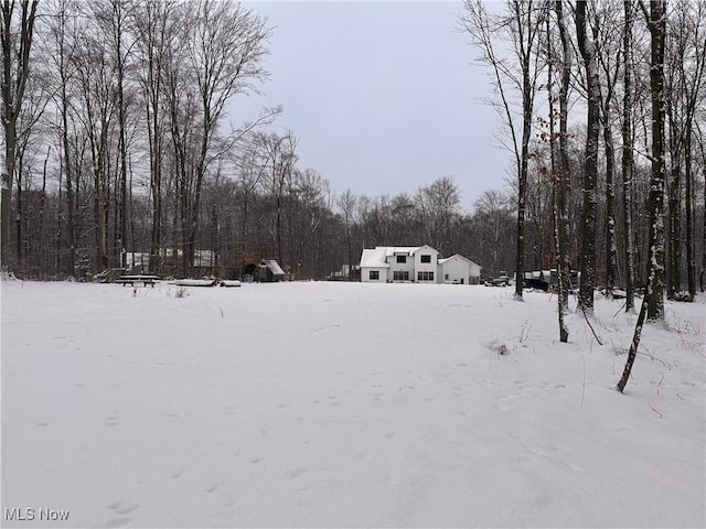 view of yard layered in snow