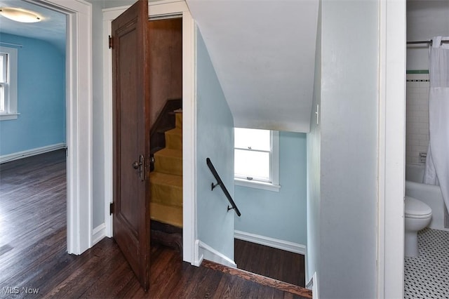 stairway featuring hardwood / wood-style floors