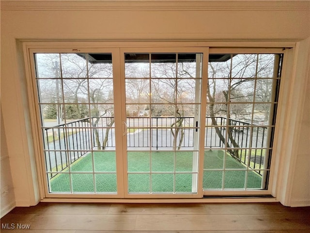 entryway with crown molding and wood-type flooring