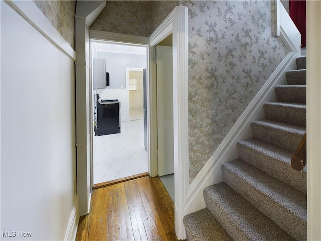 staircase featuring wood-type flooring