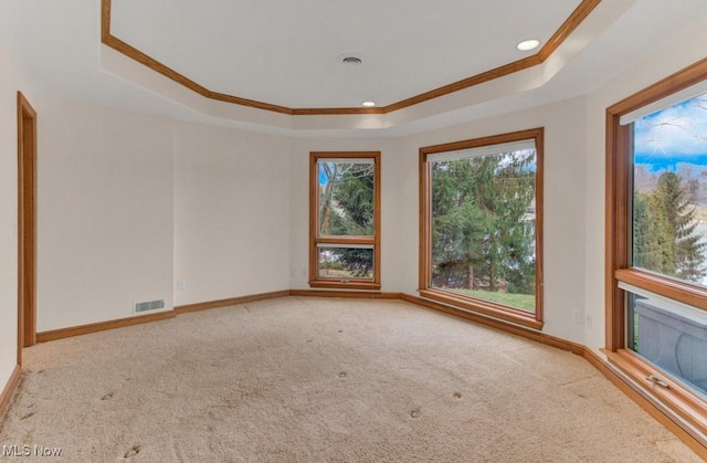 unfurnished room with baseboards, crown molding, carpet, and a raised ceiling