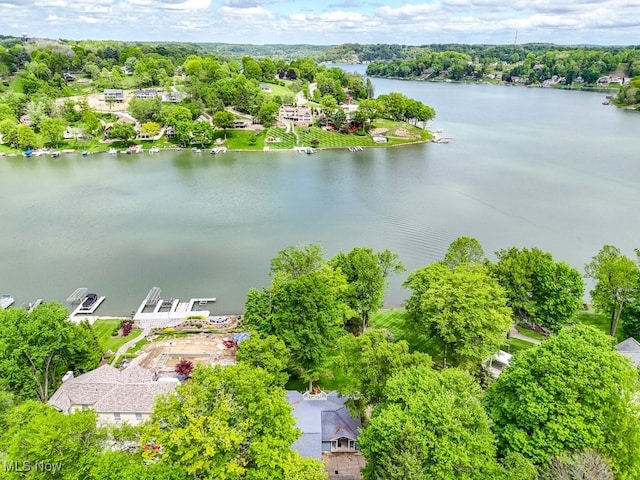466 W Mohawk Dr, Malvern, OH 44644 - drone / aerial view of a large body of water