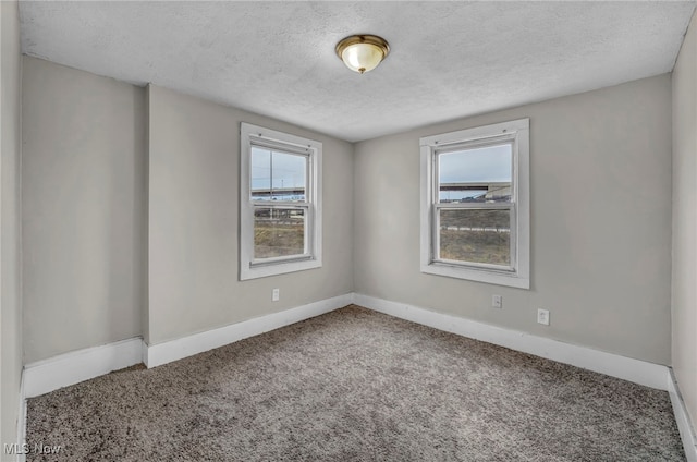 empty room featuring carpet and a textured ceiling