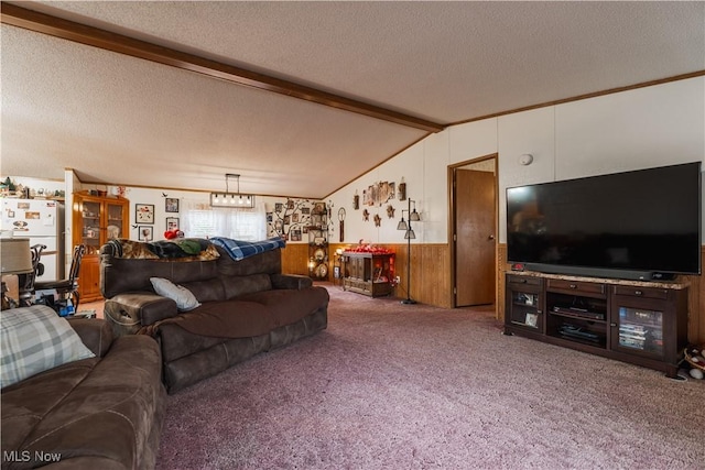 5178 Brocade Rd SE, Amsterdam, OH 43903 - carpeted living room with a textured ceiling and vaulted ceiling with beams