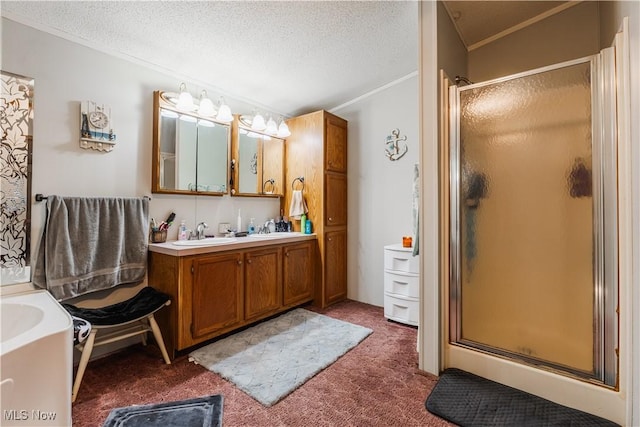 5178 Brocade Rd SE, Amsterdam, OH 43903 - bathroom featuring ornamental molding, vanity, a shower with shower door, and a textured ceiling