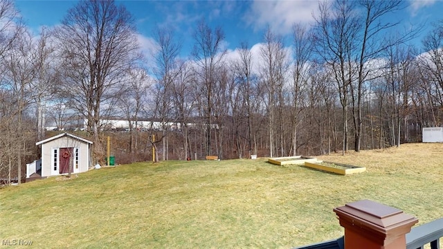 view of yard with a storage unit