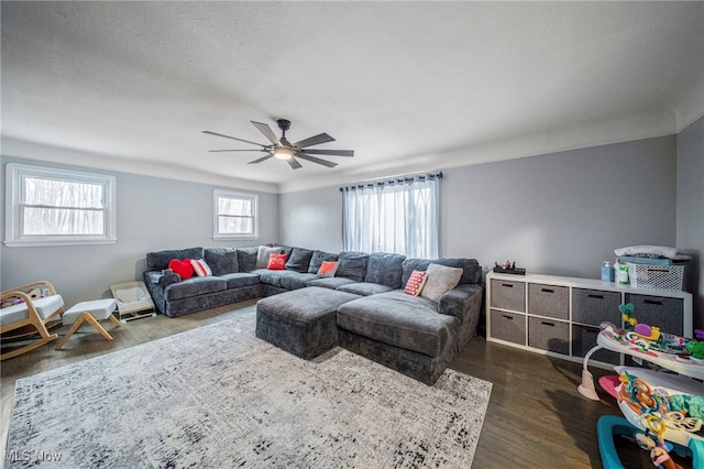 living room with dark hardwood / wood-style flooring