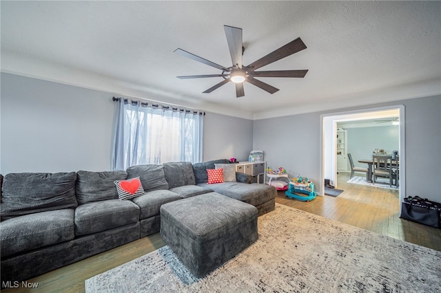 living room featuring hardwood / wood-style flooring, a textured ceiling, and ceiling fan