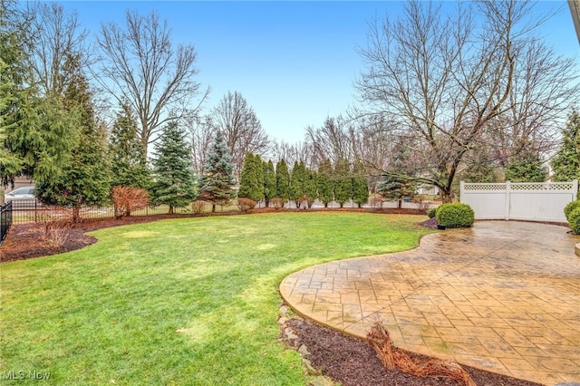 view of yard featuring a patio