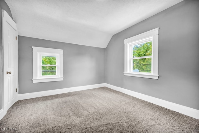 additional living space featuring lofted ceiling, a wealth of natural light, a textured ceiling, and carpet