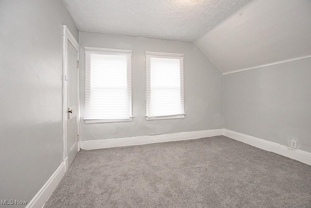 additional living space with lofted ceiling, carpet floors, and a textured ceiling