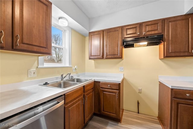 kitchen with stainless steel dishwasher, sink, and light hardwood / wood-style flooring