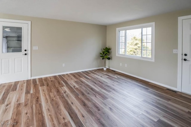 foyer entrance featuring wood-type flooring