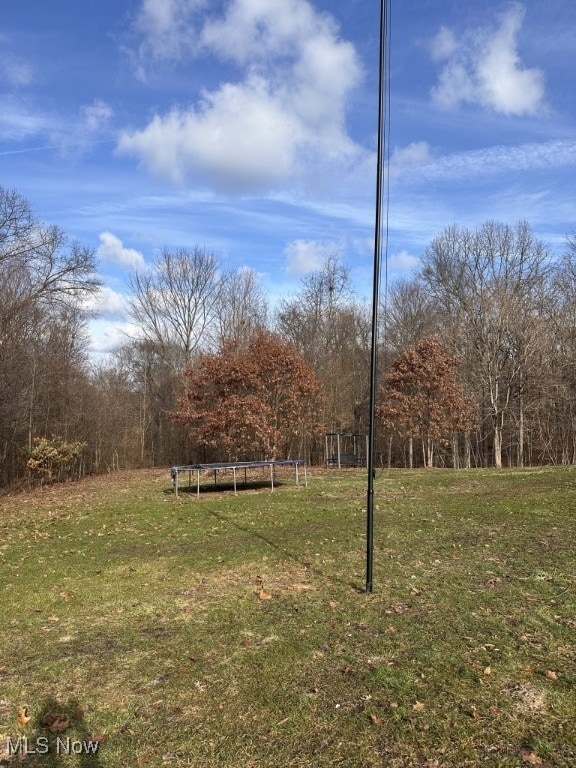 view of yard featuring a trampoline