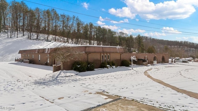 view of yard covered in snow