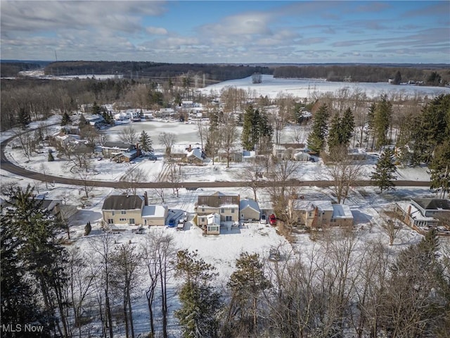 view of snowy aerial view