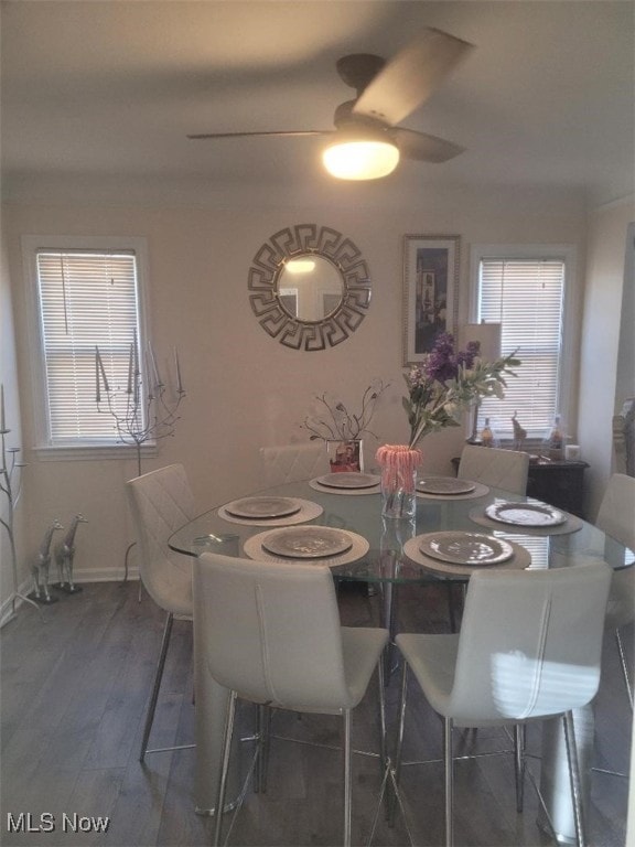 dining space with ceiling fan, dark hardwood / wood-style floors, and a healthy amount of sunlight