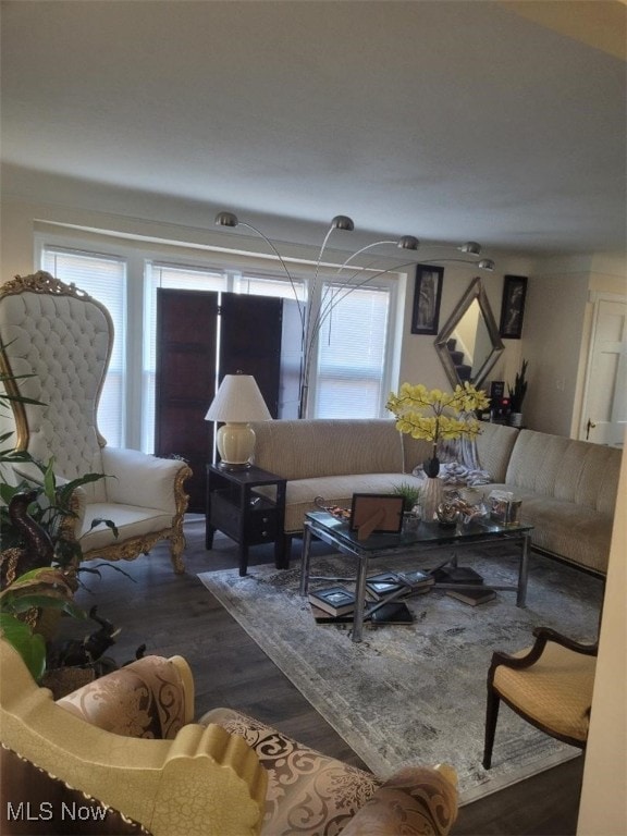 living room featuring dark hardwood / wood-style floors