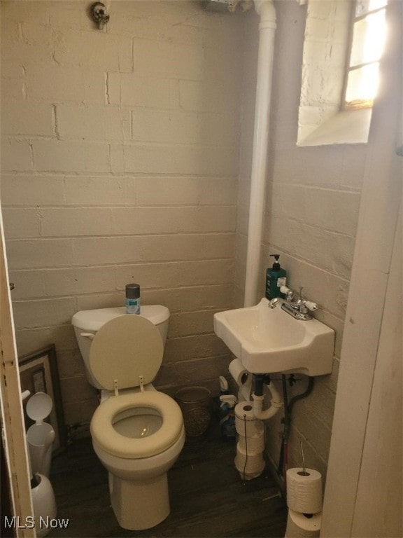 bathroom with sink, hardwood / wood-style flooring, and toilet