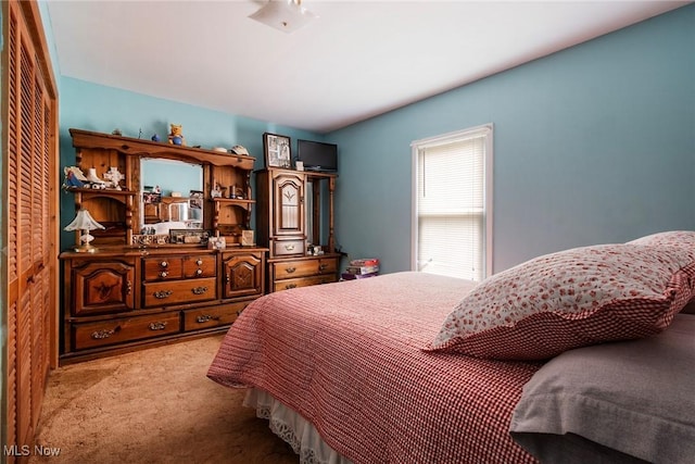 view of carpeted bedroom