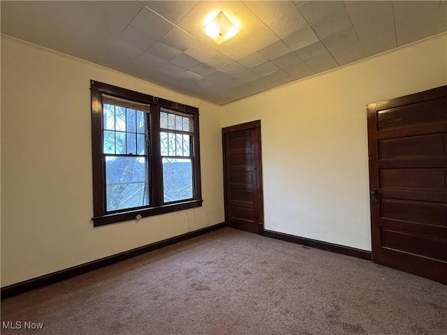 spare room with carpet flooring