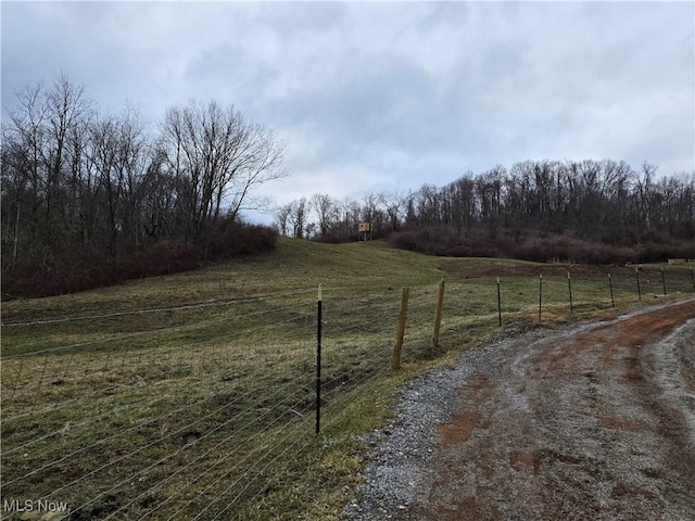 view of yard with a rural view