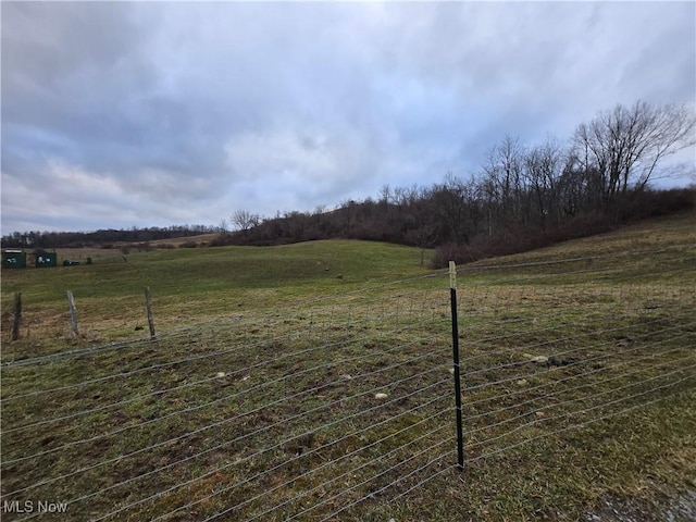 view of yard featuring a rural view