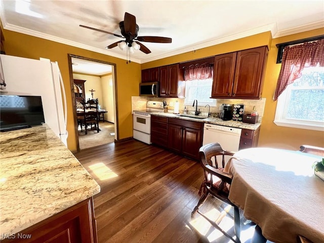 kitchen with tasteful backsplash, sink, dark hardwood / wood-style flooring, crown molding, and white appliances