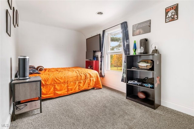 bedroom with carpet floors