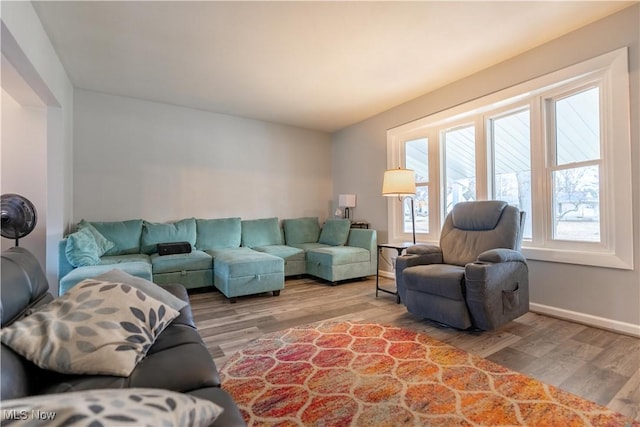 living room with hardwood / wood-style floors