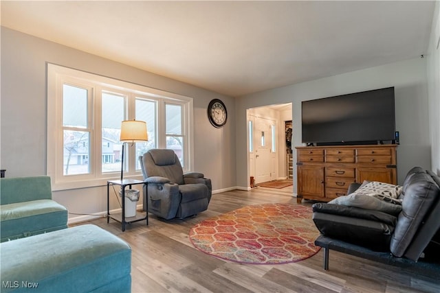 living room featuring light hardwood / wood-style flooring