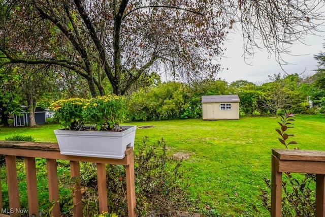 view of yard featuring a storage shed