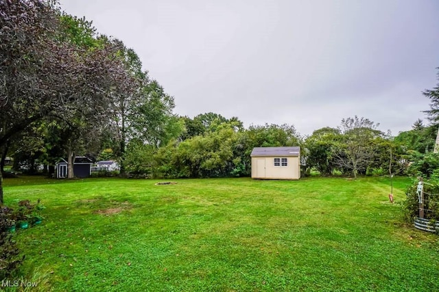 view of yard featuring a shed