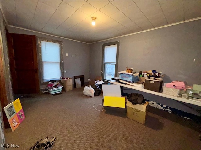 miscellaneous room featuring crown molding and carpet flooring