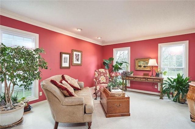 living area with crown molding and light carpet