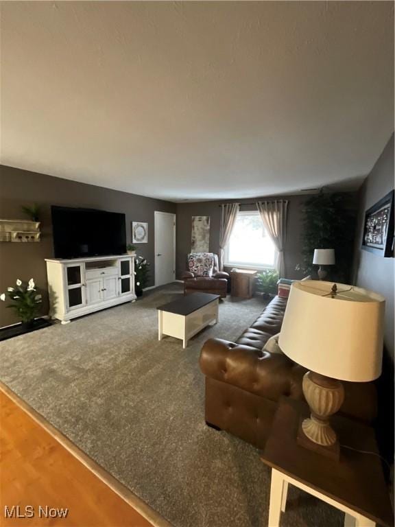 living room with hardwood / wood-style flooring