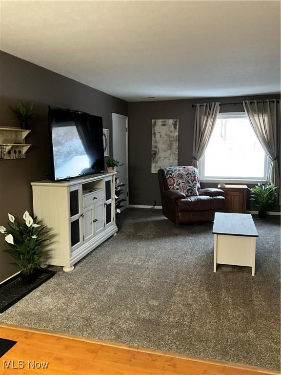 living room with hardwood / wood-style flooring